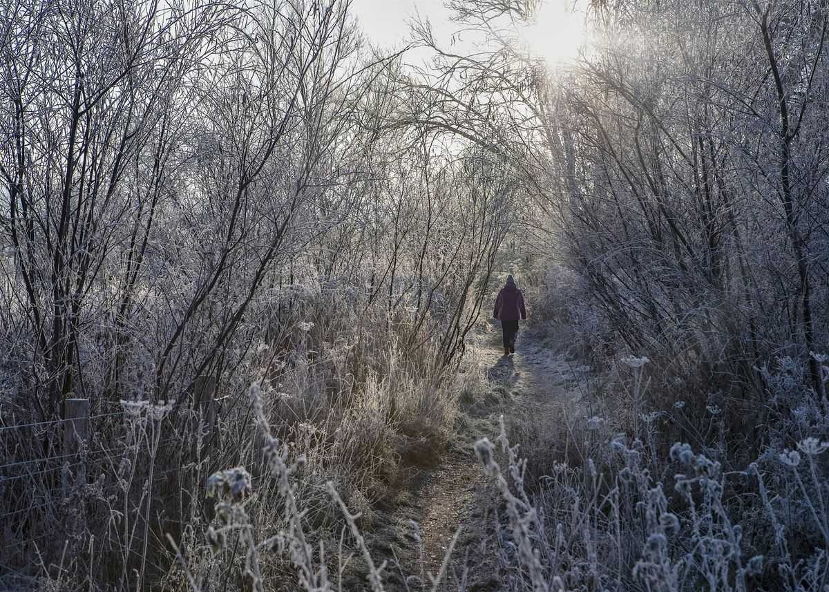 Adult Workshop - Winter Tree Identification at the Nature Discovery Centre - Saturday 22nd February