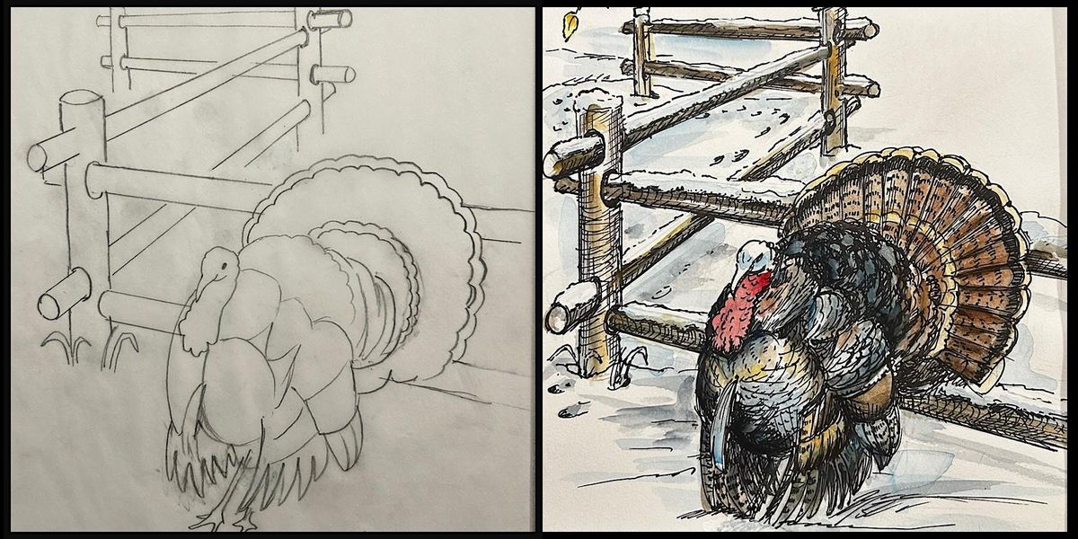 Turkey in Barnyard Ink and Watercolor | Cheryl Bielli, instructor