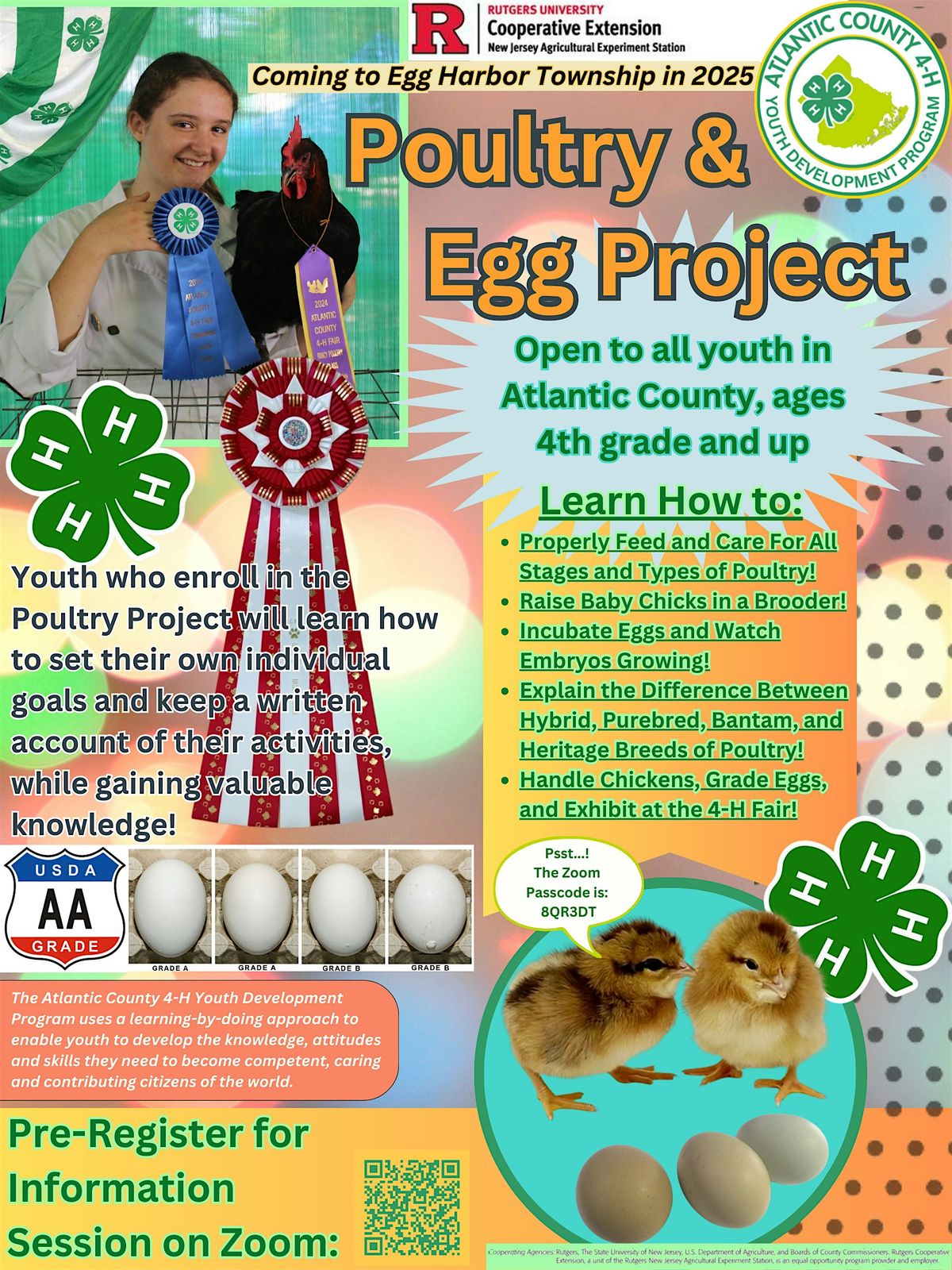 4-H Egg Production and Fancy Poultry SPIN Project