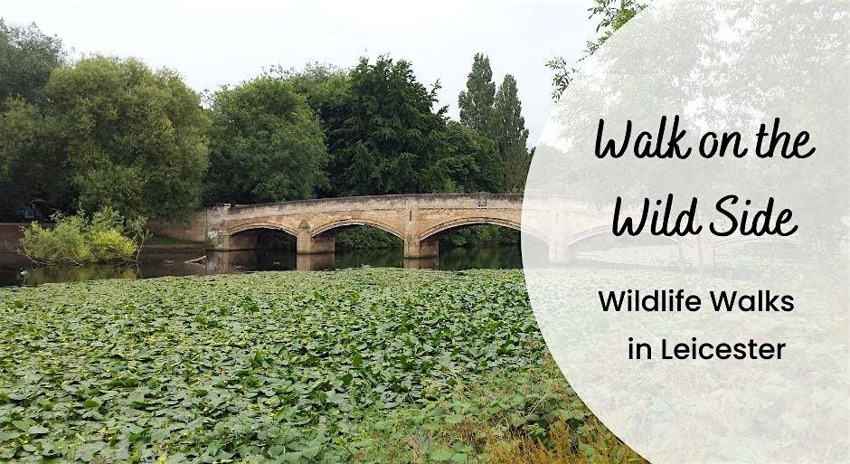 Walk on the Wild Side Abbey Park