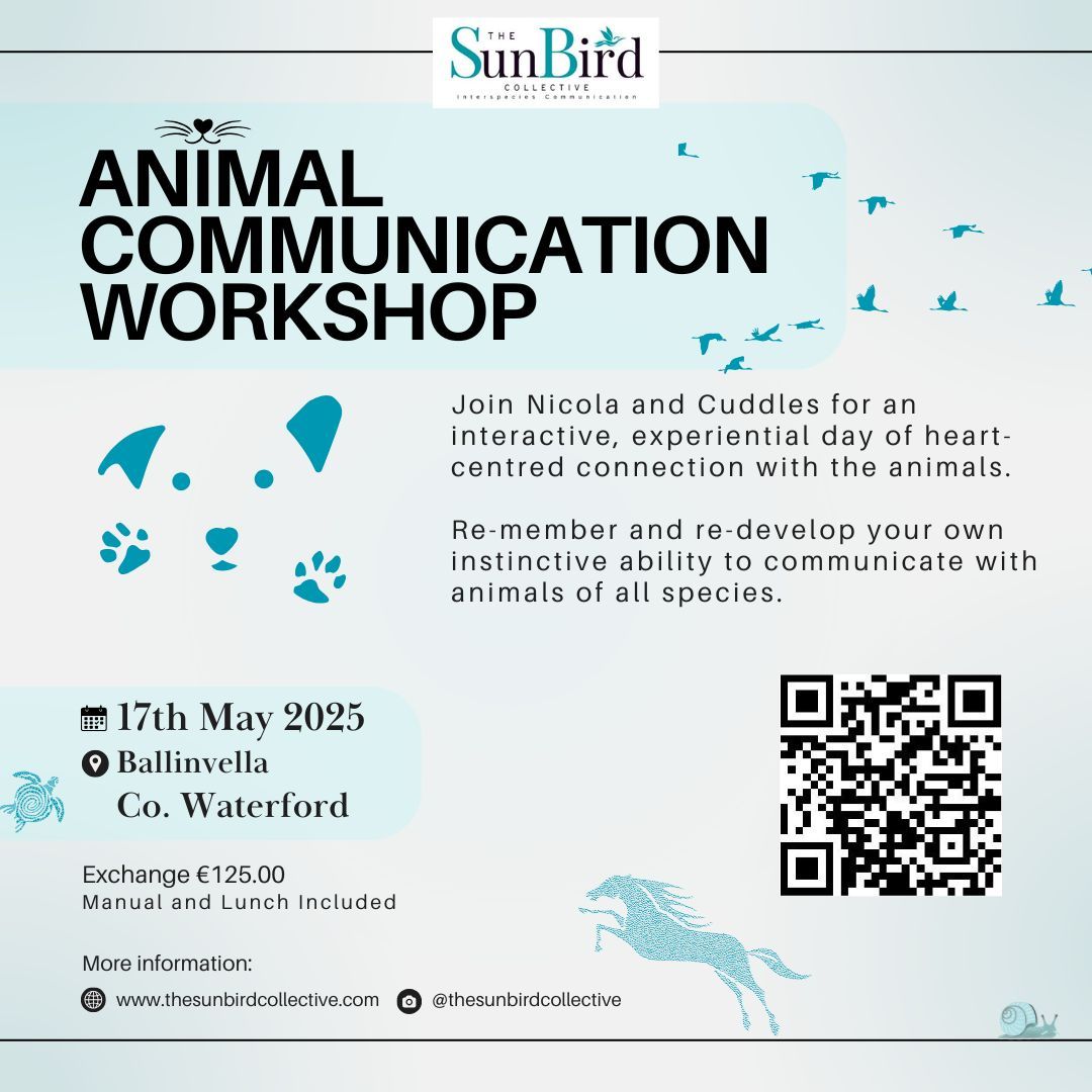 Co. Waterford One Day Animal Communication Workshop