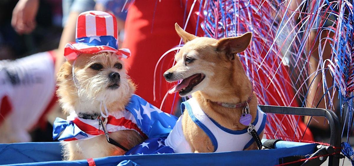 4th of July kids and pets parade with BBQ at the park