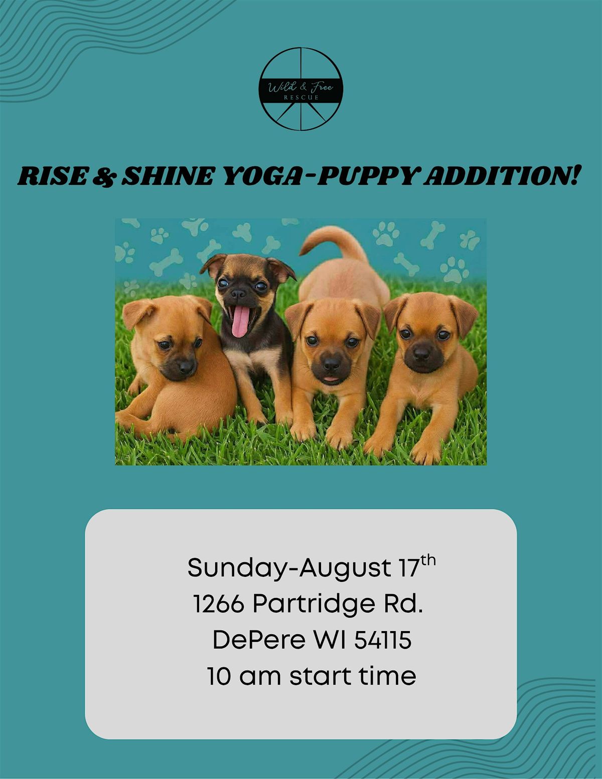 Rise & Shine Yoga- Puppy Addition