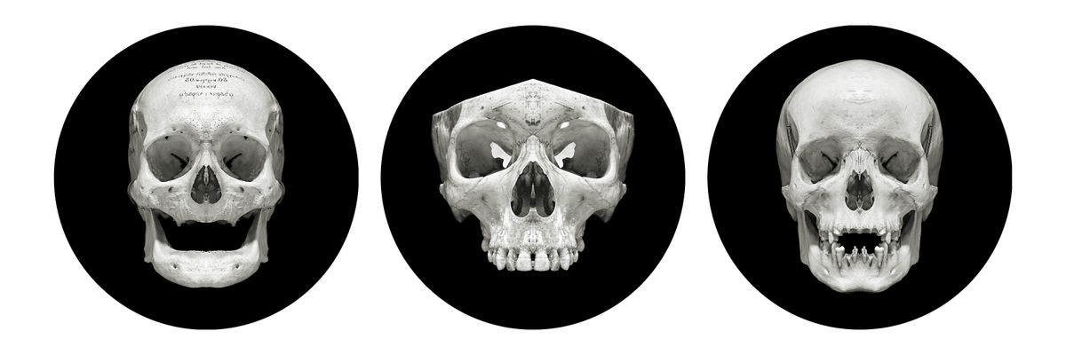 PERFECT VESSELS, artist talk with David Orr