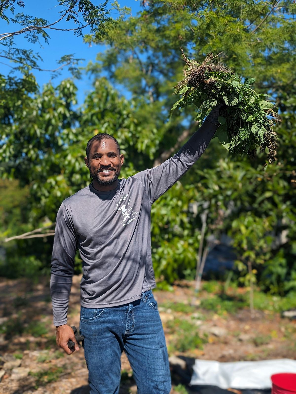 Food Forest Workday: Open to Everyone!