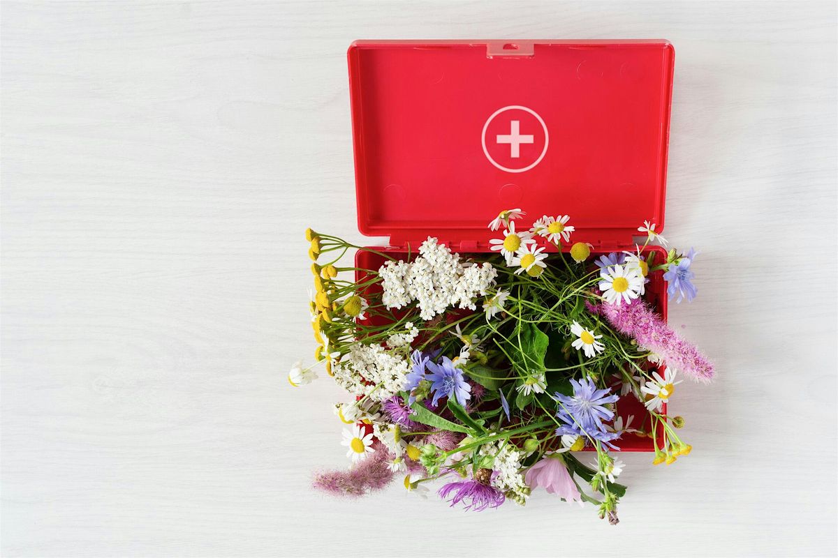 Children's Herbal First Aid & Home Ph*rm*cy