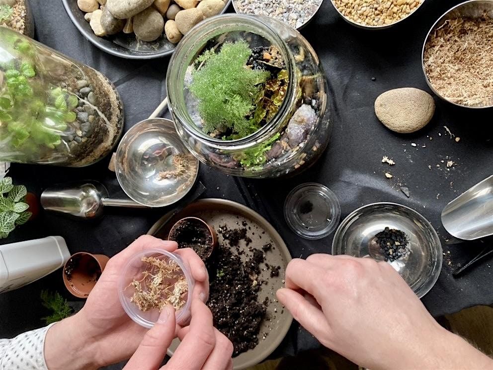 One Gallon BioActive Terrarium Workshop: Saturday August 30th , 6-8pm