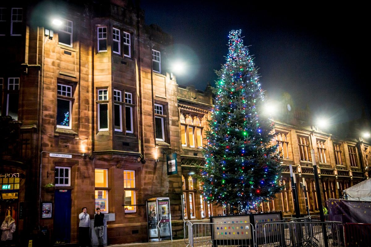 Paisley Christmas Lights SWITCH ON