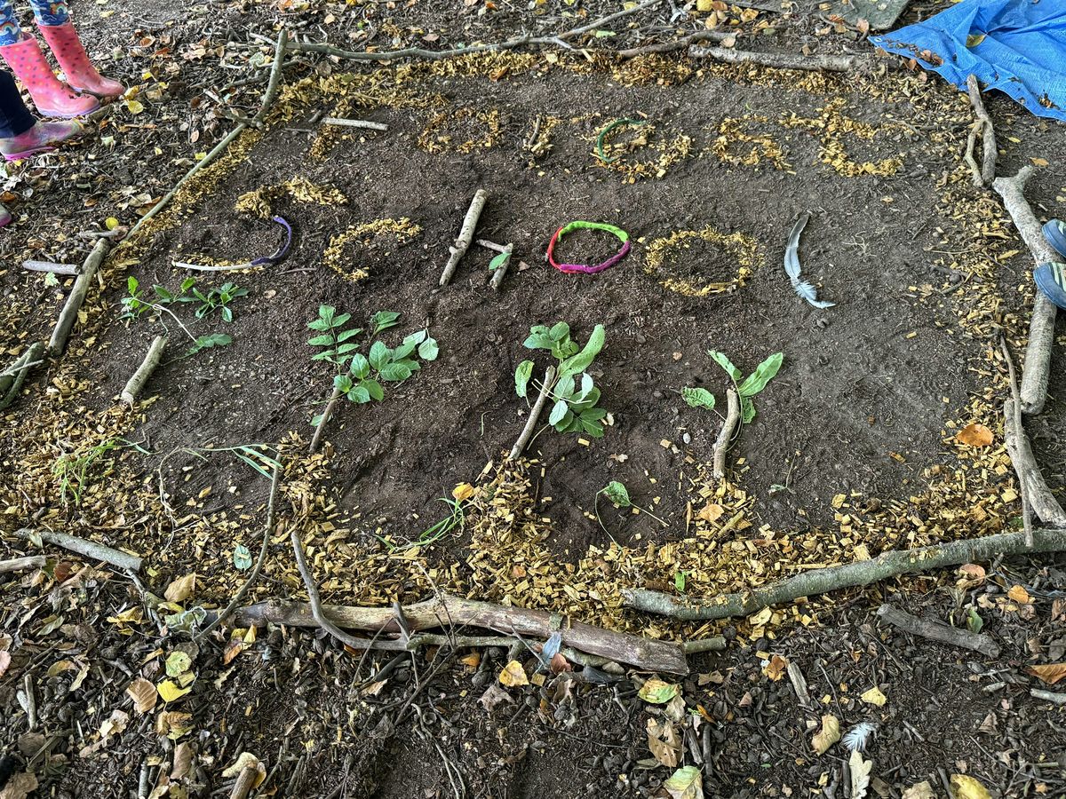 Circle Tree outdoors activities day