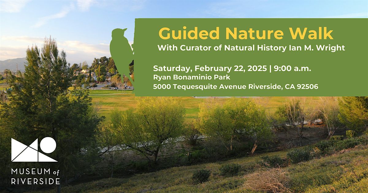 Guided Nature Walk - Birdwatching