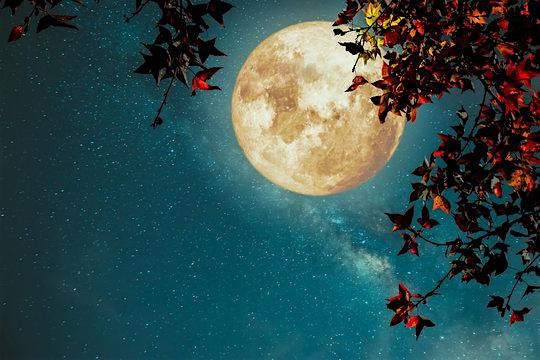 Sound and Ceremony for the Full Harvest Moon