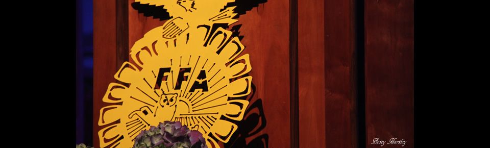 Annual FFA Chili Supper & Scholarship Auction