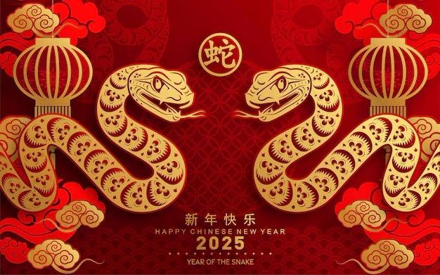 Annual Lunar New Year Manifestation Workshop - Year of the Snake