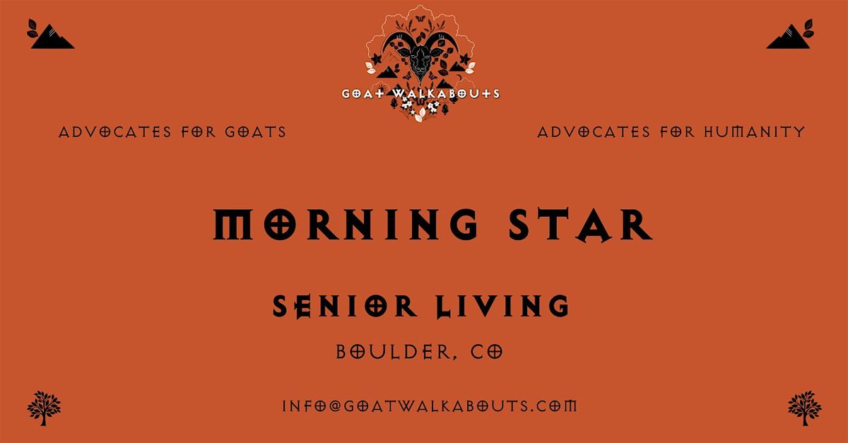 Goat Walkabouts  - Morning Star - Boulder