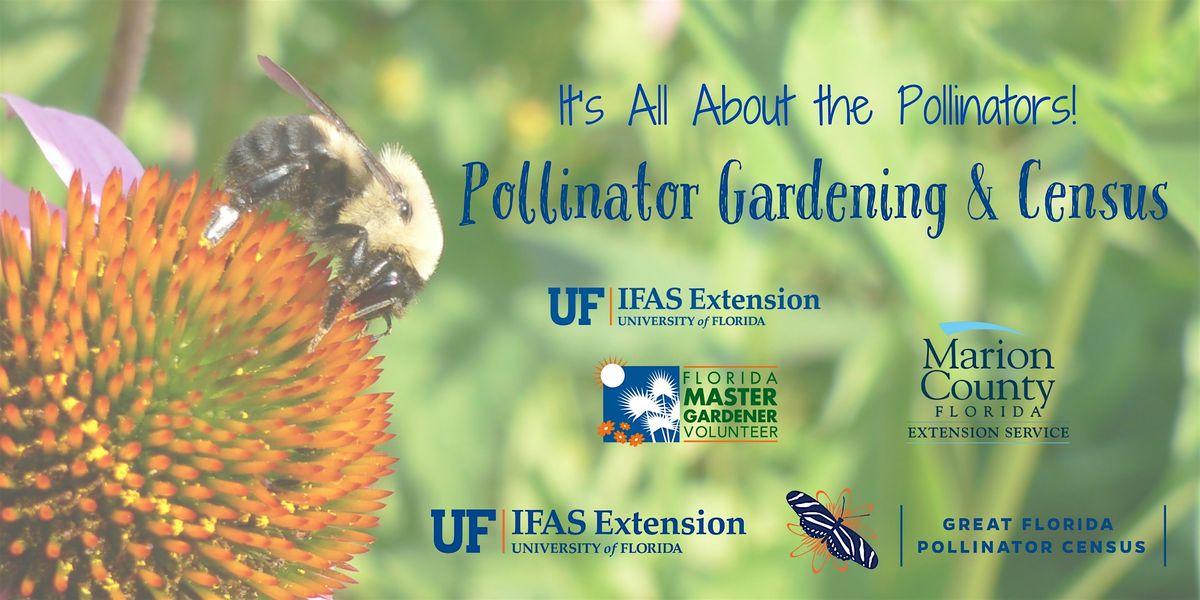It's All About the Pollinators!