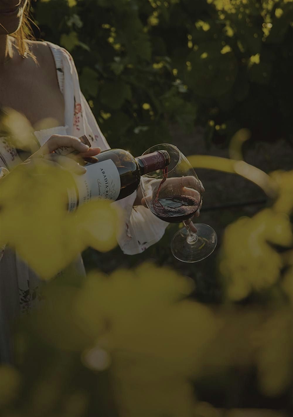 Abad\u00eda Retuerta Wine Dinner at Columbia Ybor