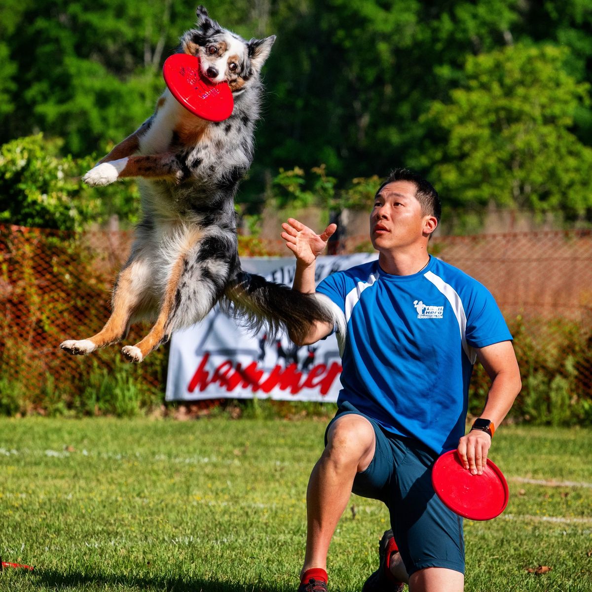 Andrew Han Disc Dog Workshop