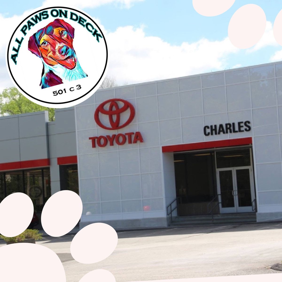 Adoption Event at Charles Toyota, Norwich \ud83c\udf84Christmas Themed \ud83c\udf84