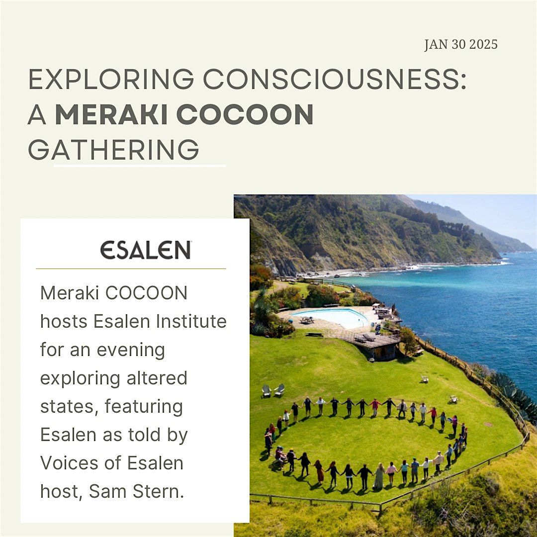 Exploring Consciousness: A Meraki COCOON Gathering