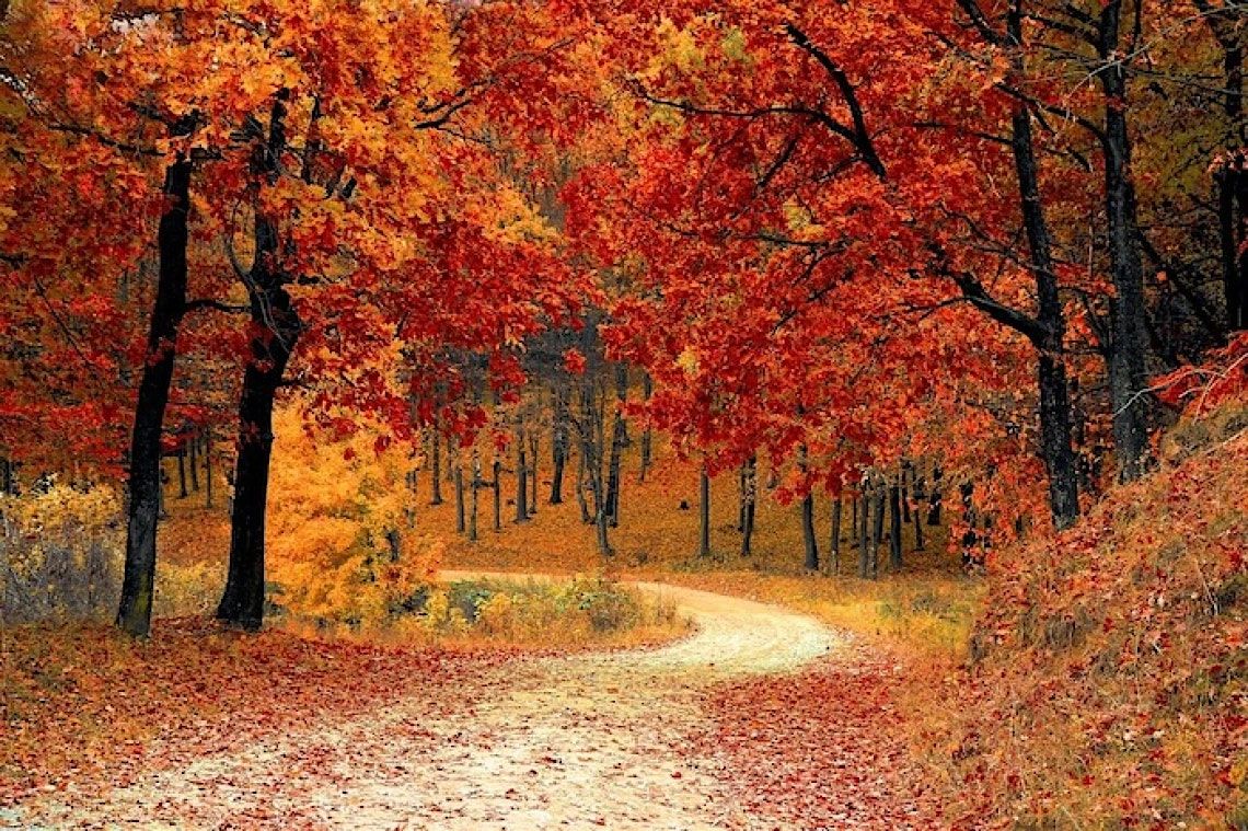 Autumn Equinox Celebration: Tea Ceremony & Harp Nidra