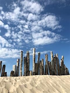 Special Event: Yoga Nidra meets Systemic Constellations - weekend workshop