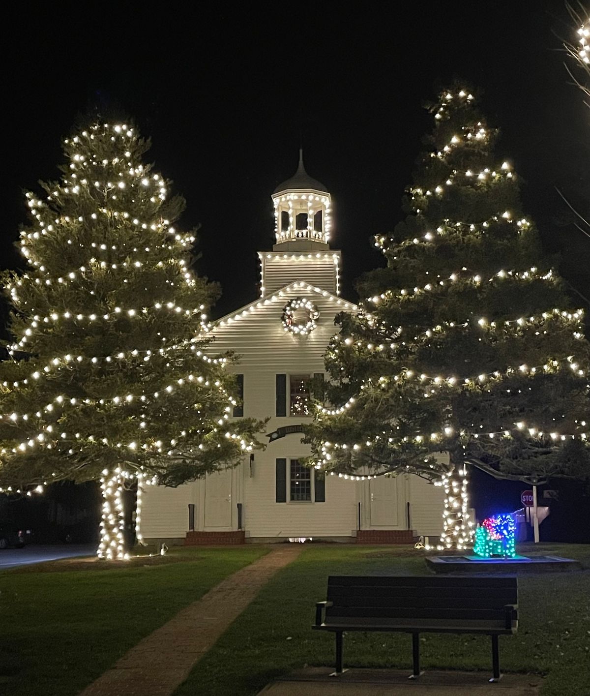 Annual Tree Lighting & Sing-Along 