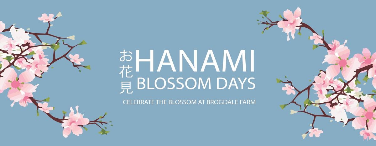 Hanami Blossom Weekend