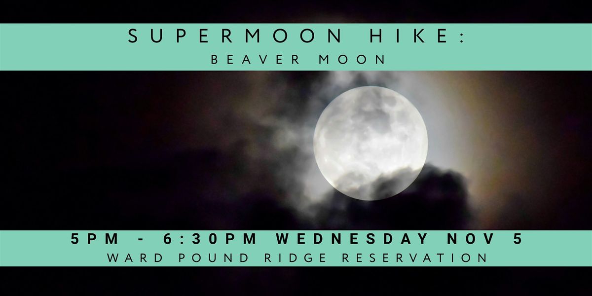 Supermoon Hike: Beaver Moon