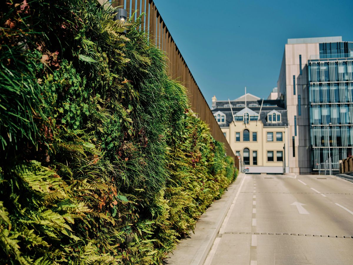 Free CPD session for BIDs | Greener Streets. Stronger Districts.