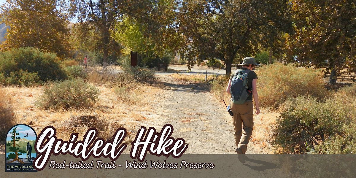 Sunset Stroll: Red-Tailed Trail Guided Hike - Wind Wolves Preserve