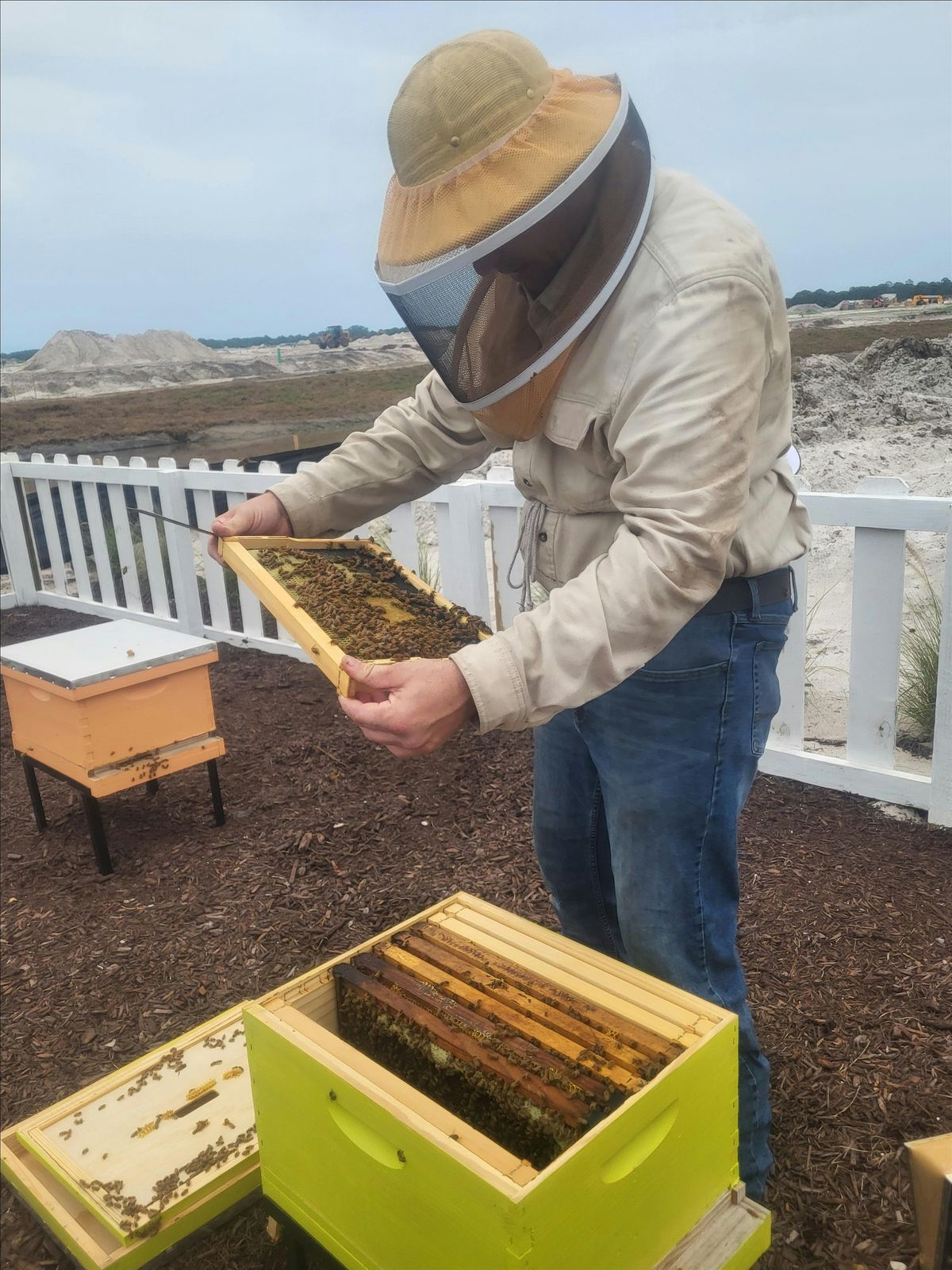 Simply Rooted, A Farm Education Series: Meet the Newfield Bees