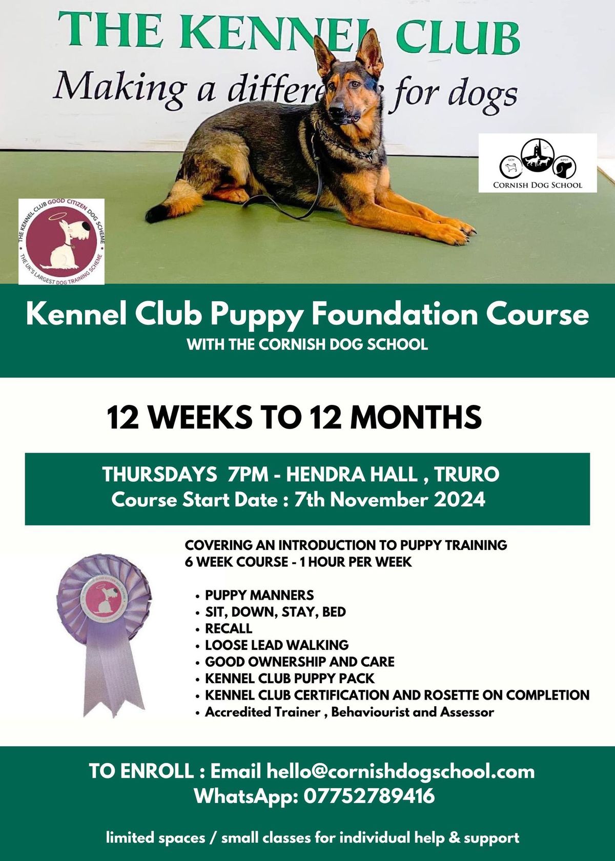 Kennel Club Puppy Foundation Course 