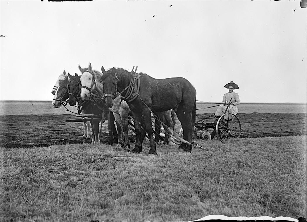 Adelia Wells: Female Homesteader in Aurora