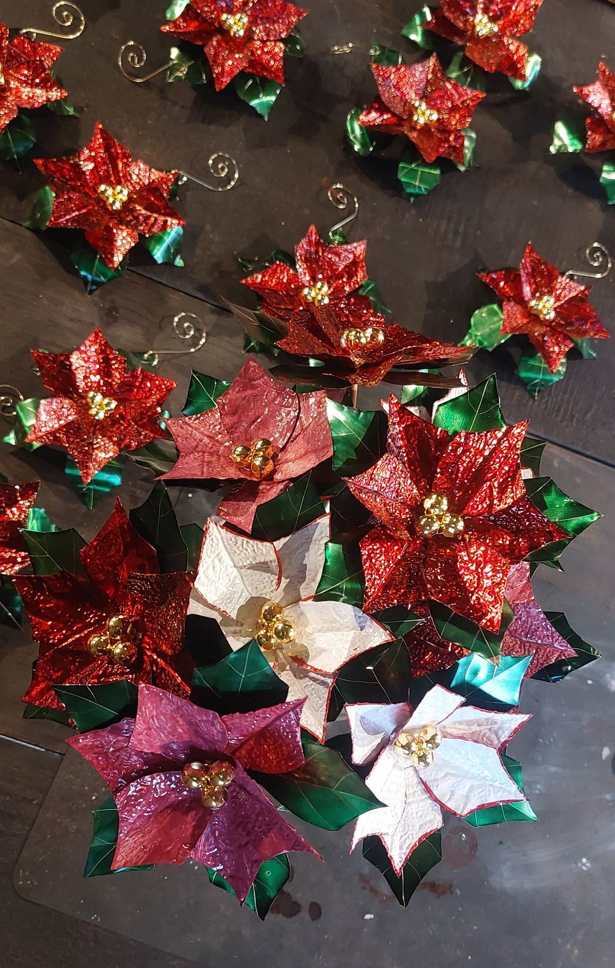 Potted Poinsettias