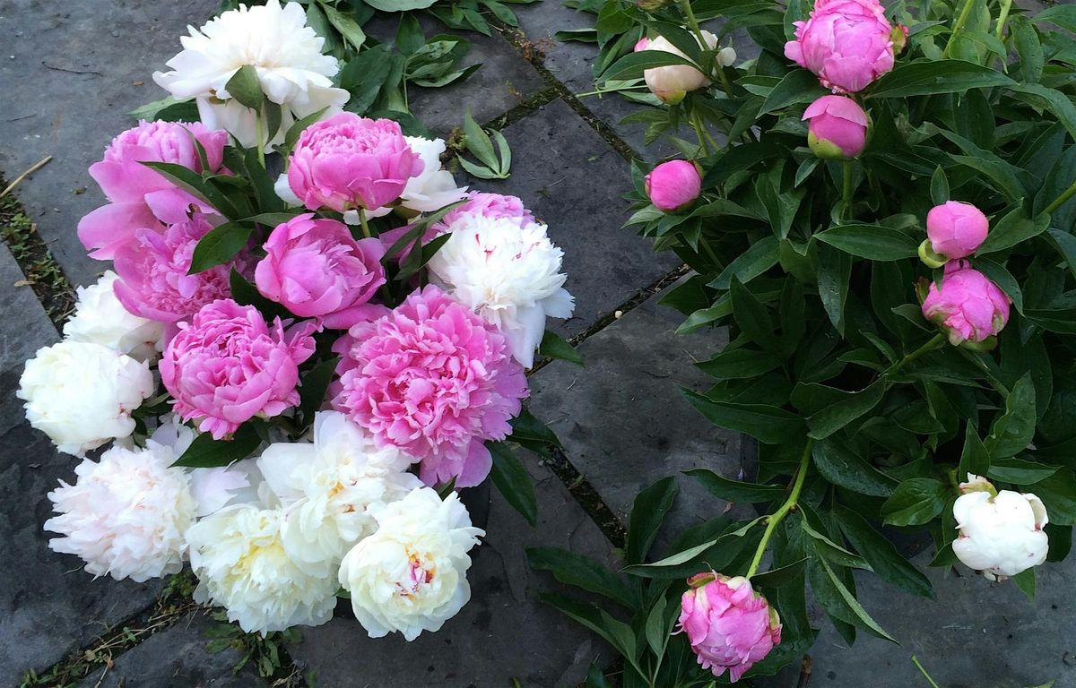 Peony Propogation Workshop