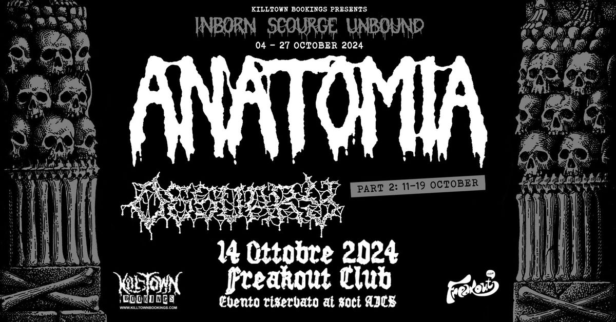 Anatomia (JP), Ossuary (US) | Freakout Club