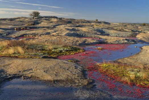 Hike At Arabia Mountain Arabia Mountain National Heritage Area Lithonia 27 February 21 Hike At Arabia Mountain Arabia Mountain National Heritage Area Lithonia 27 February 21