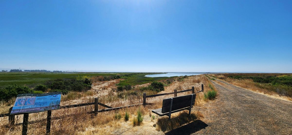 Volunteer Workday - San Pablo Bay NWR