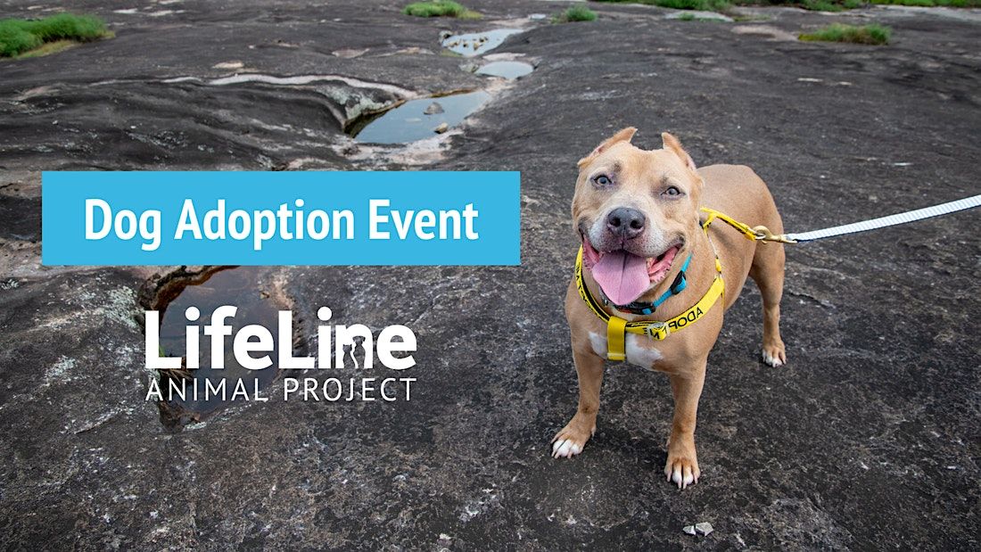 Centergy One Dog Adoption Event