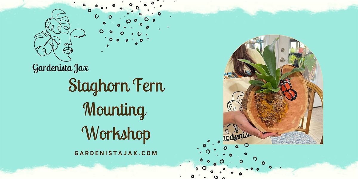 Staghorn Ferns Mounting Workshop