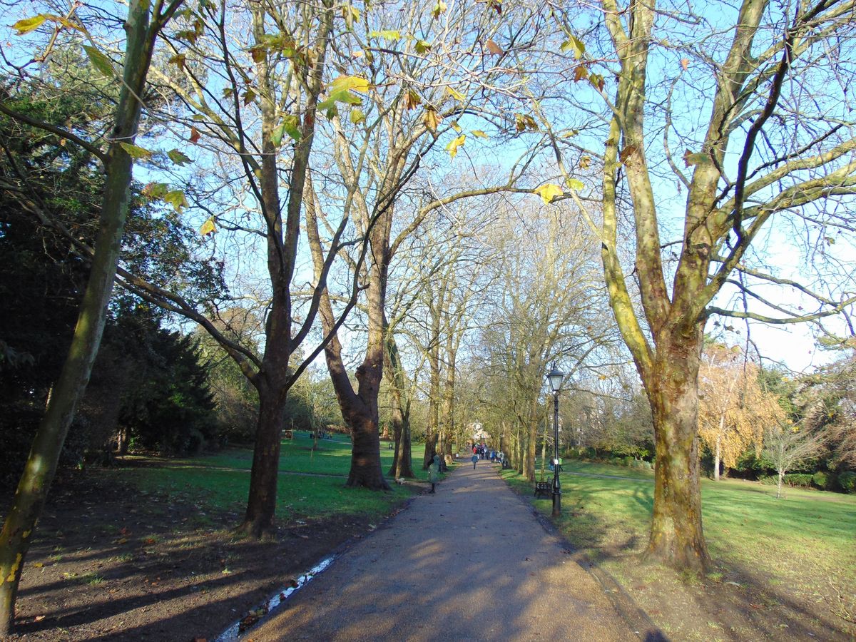 Rochester Walking Group