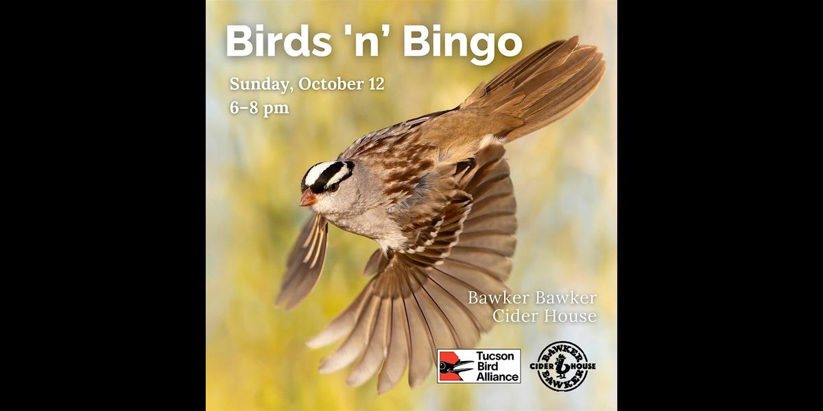 Bird n Bingo