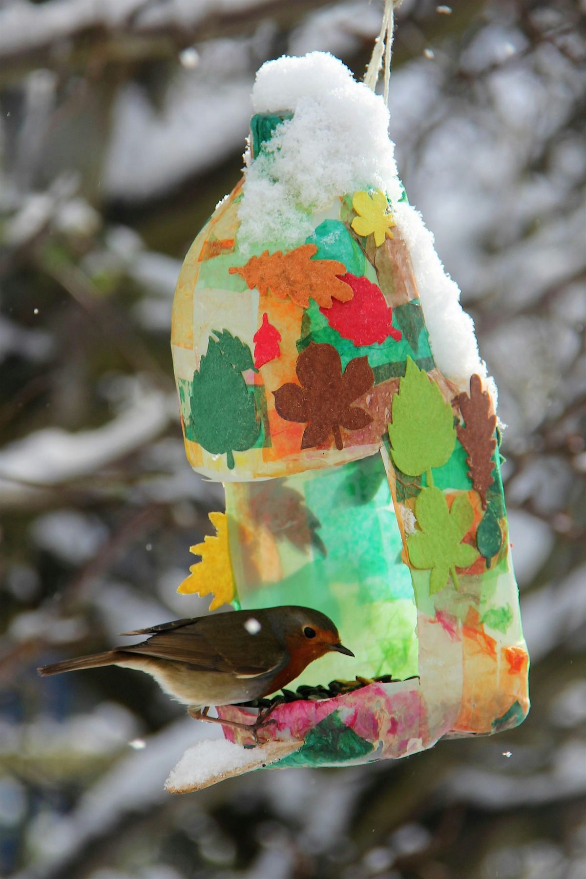 Championing Nature - Winter Wildlife at Woodberry Wetlands