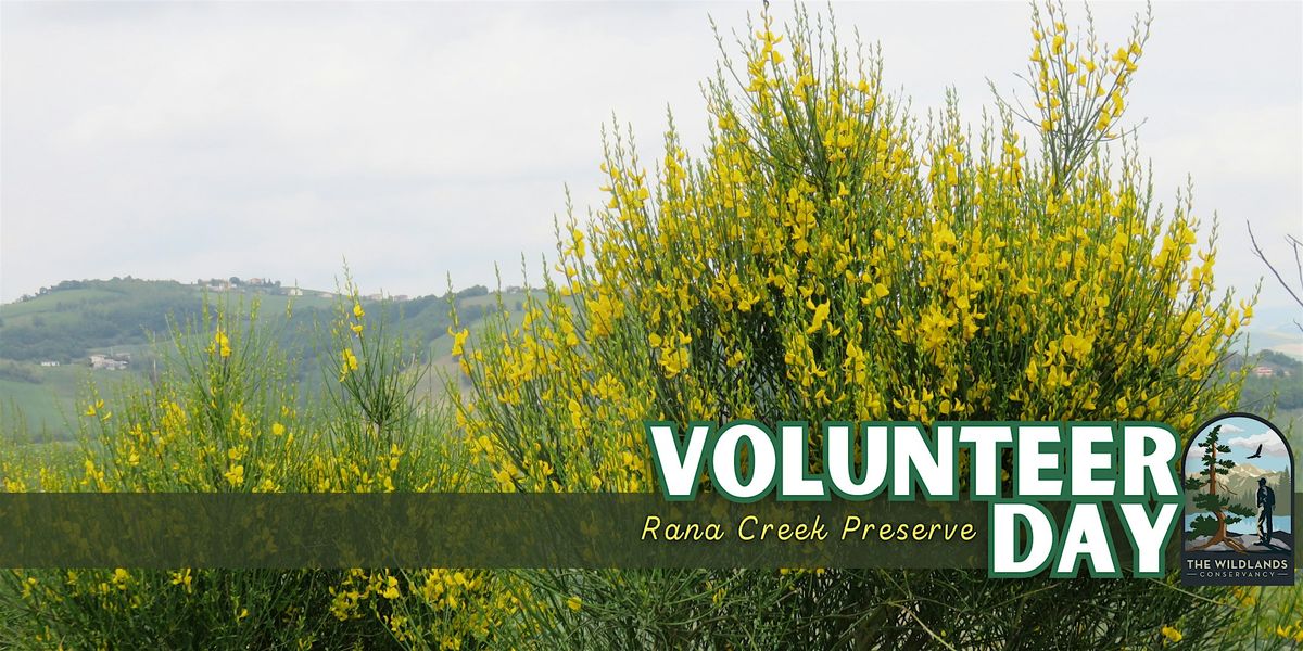 Volunteer Day: Invasive Plant Removal - Rana Creek Preserve