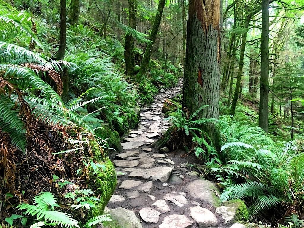 Hike & Heal Series: A Guided Hiking & Mindfulness Experience