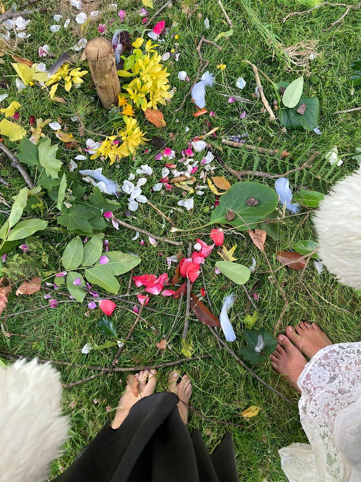 Healed & Heartfelt Ones: Women\u2019s Circle November 2025