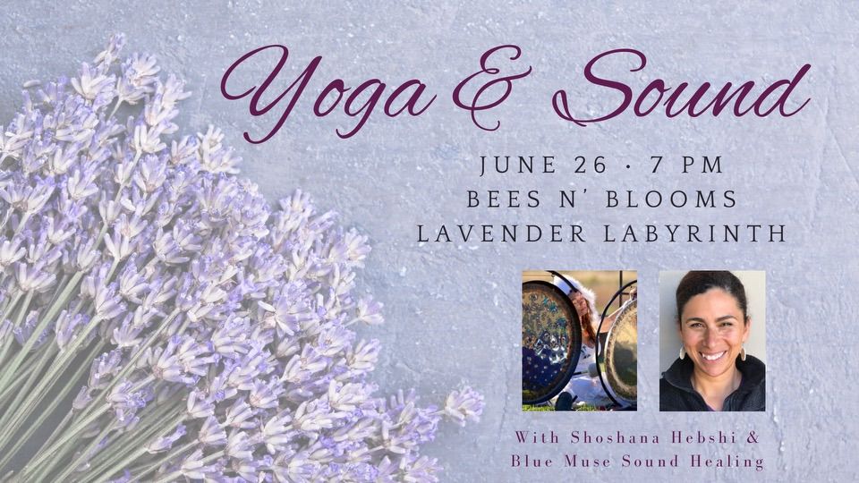 Sunset Yoga & Sound Healing Yoga Pop up! Lavender Labyrinth Full Bloom