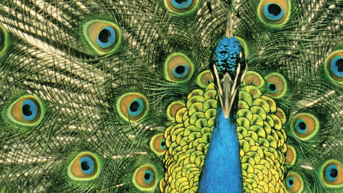 The Bluetones in Stoke-on-Trent