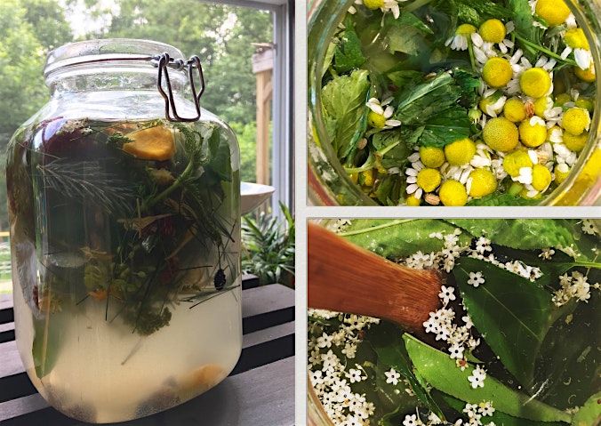 Family-Friendly Wild Soda Making with Lacey Walker