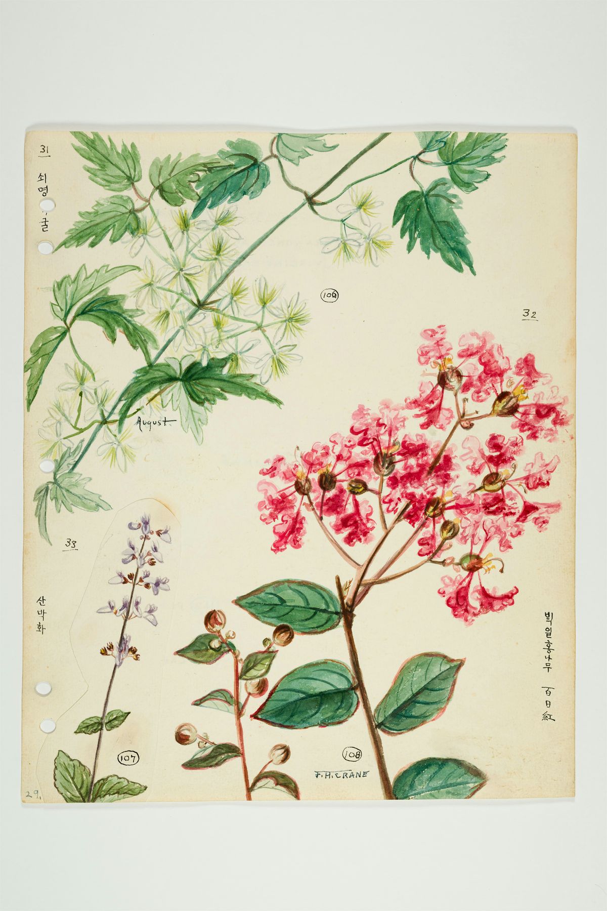 Floral Workshop at the University Museum*